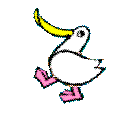 アヒル
